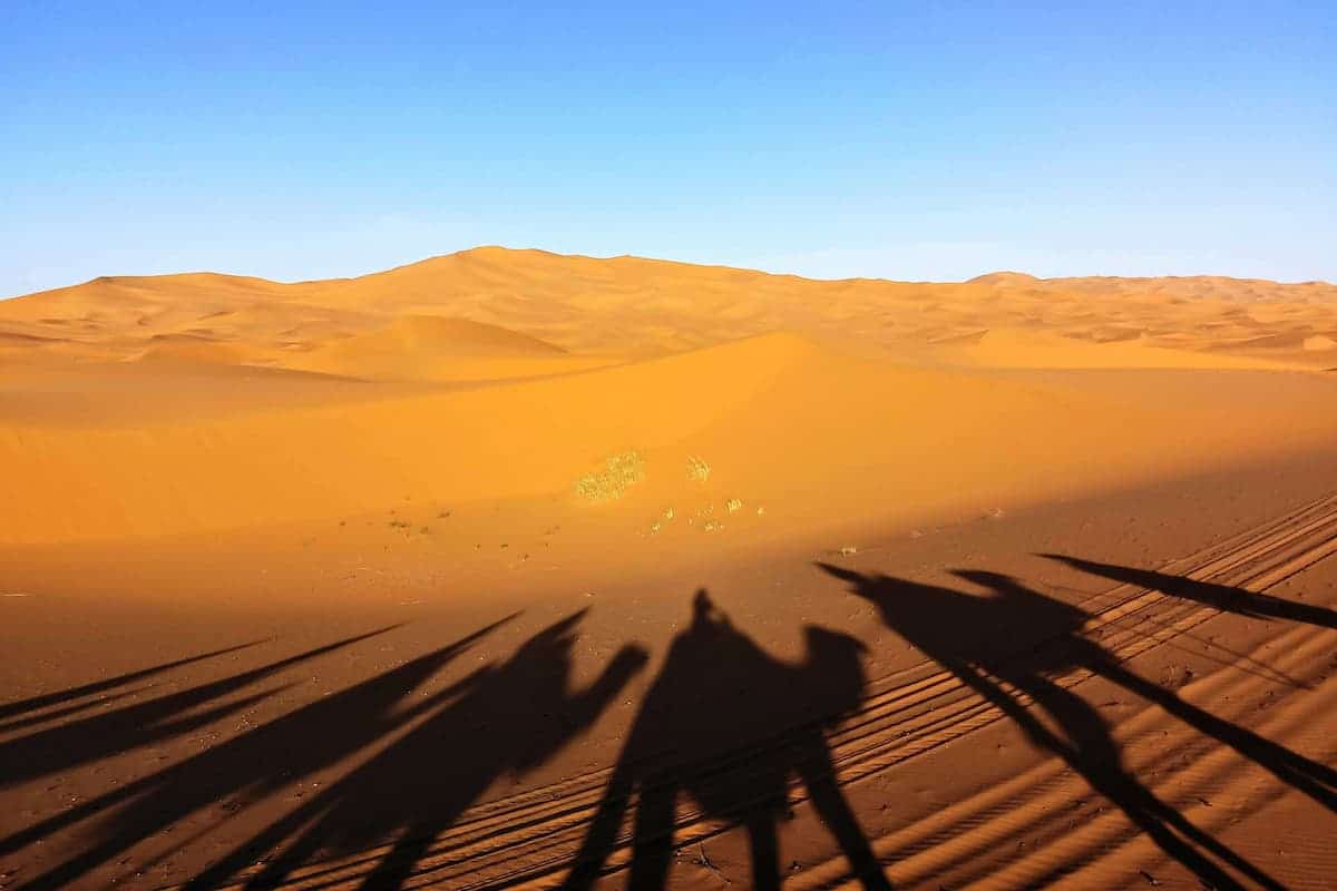 Fes To Marrakech Desert Tour