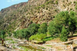 Ourika Valley Day Trip