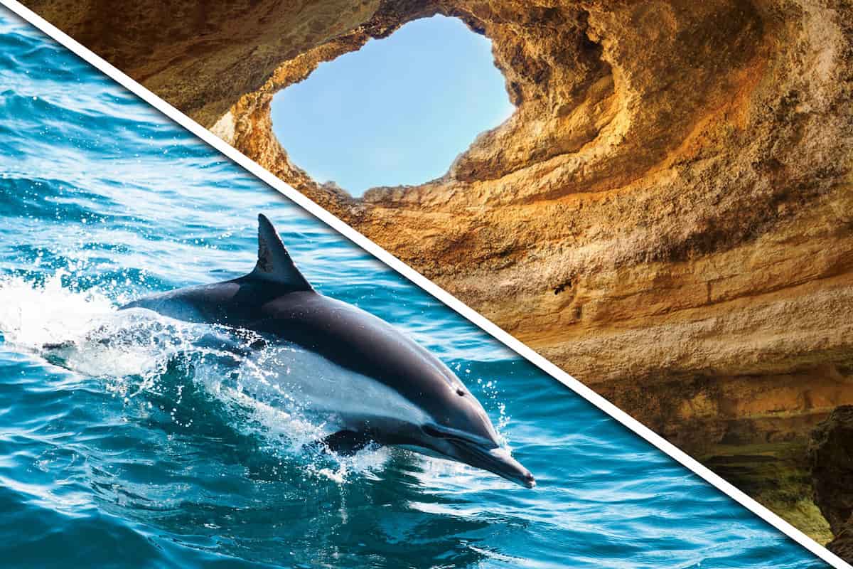 Benagil and dolphin boat tour from Lagos