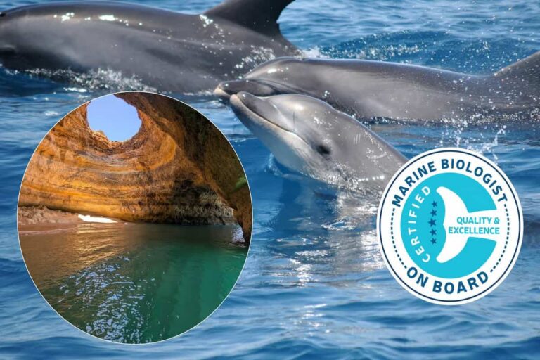Benagil and dolphin boat tour from Lagos