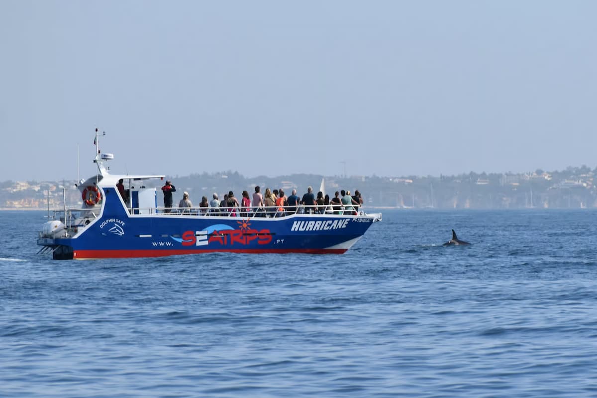 Benagil and dolphin boat tour from Lagos