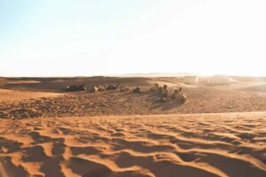 Zagora Desert Tour