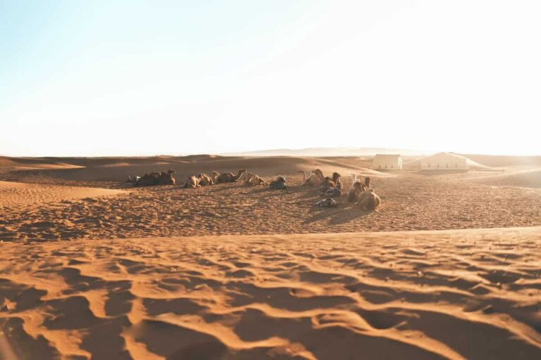 Zagora Desert Tour