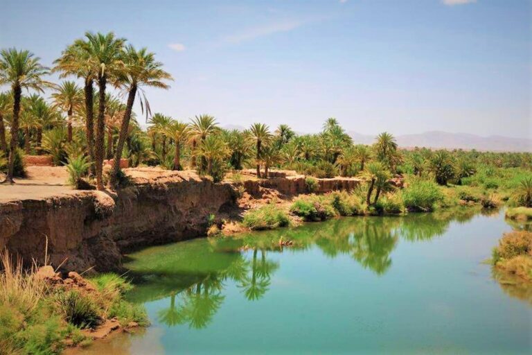 Zagora Desert Tour