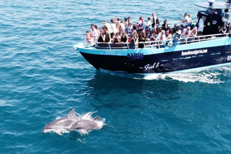 Benagil And Dolphin Portimão