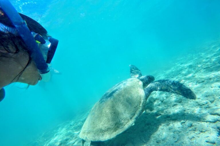 Kusadasi Boat Trip