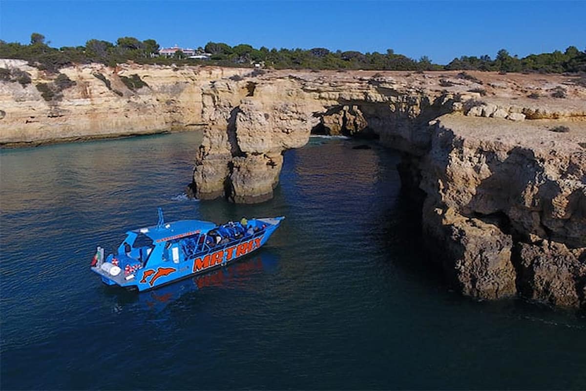 Albufeira Benagil Caves And Dolphin Boat Trip