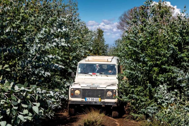 Algarve Jeep Safari