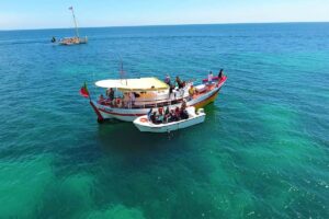 Ponta De Piedade Boat Trip