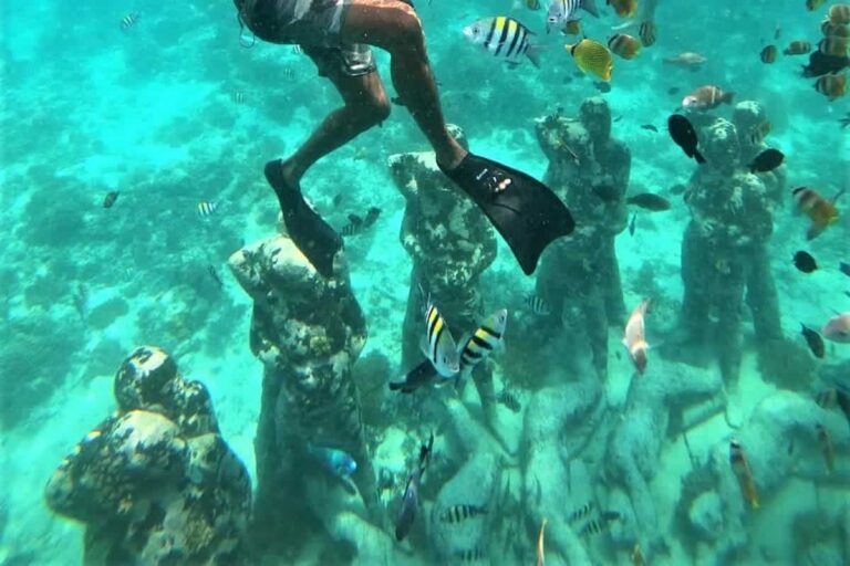 Gili Snorkeling Tour
