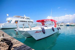 Private Akamas Blue Lagoon Boat Tour