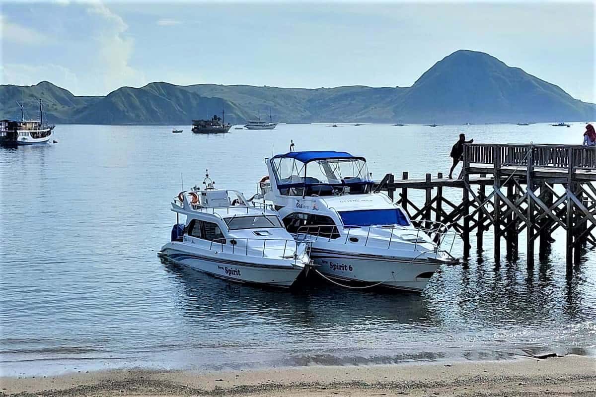 Komodo Island Day Tour