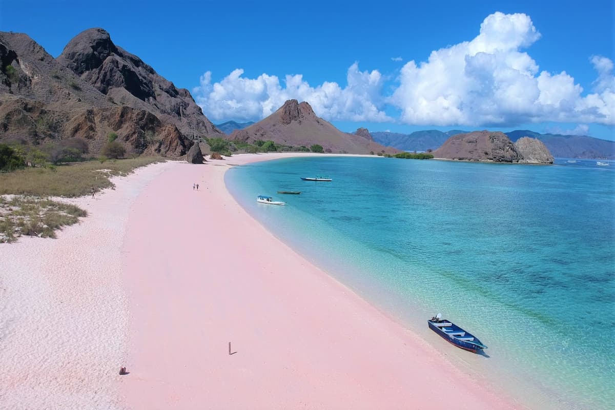 Komodo Island Day Tour