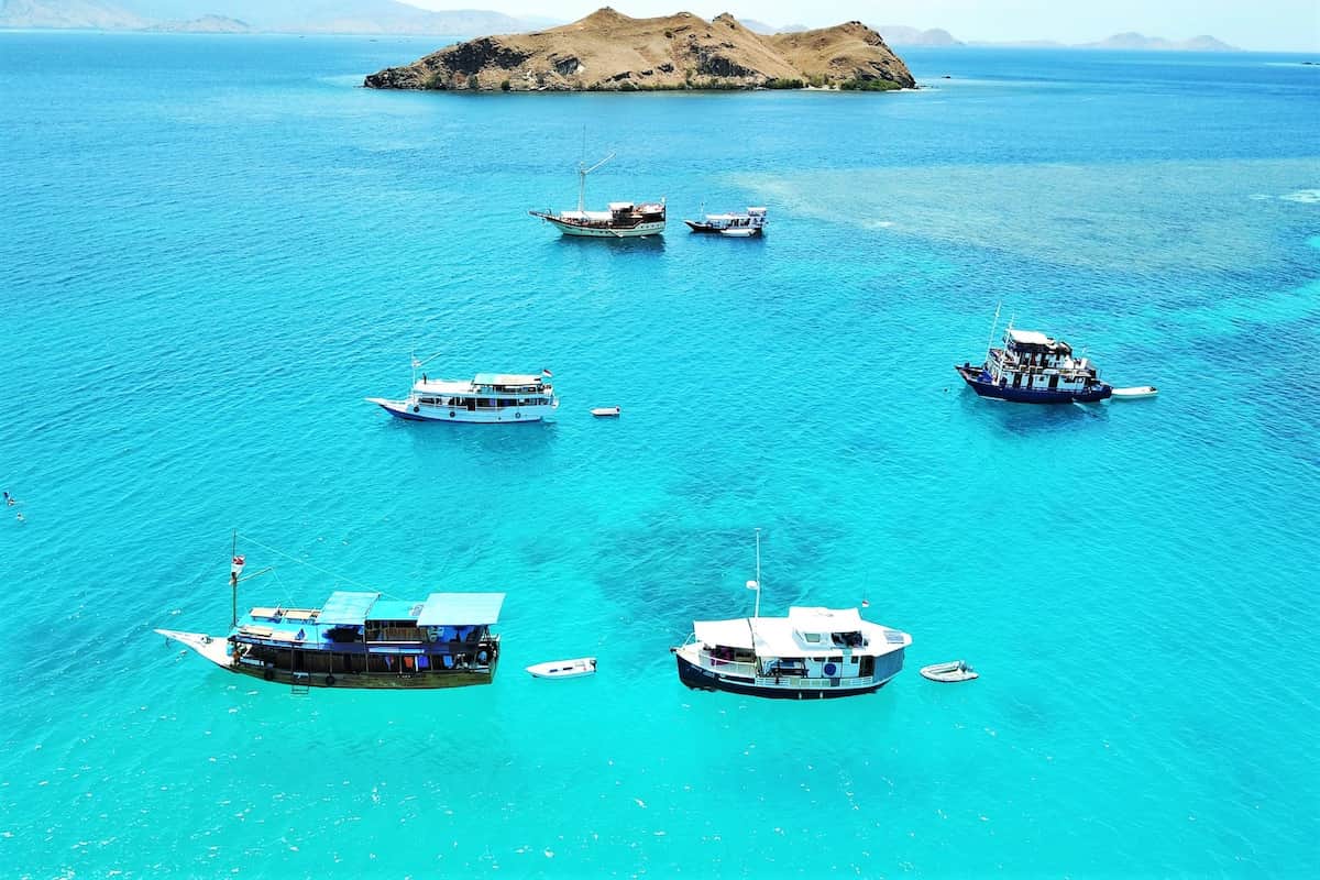 Komodo Island Day Tour