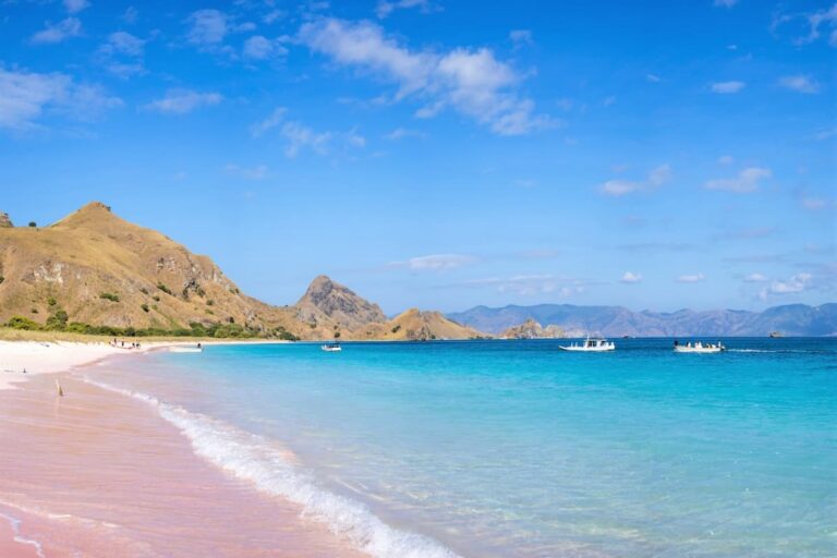 Komodo Island Day Tour