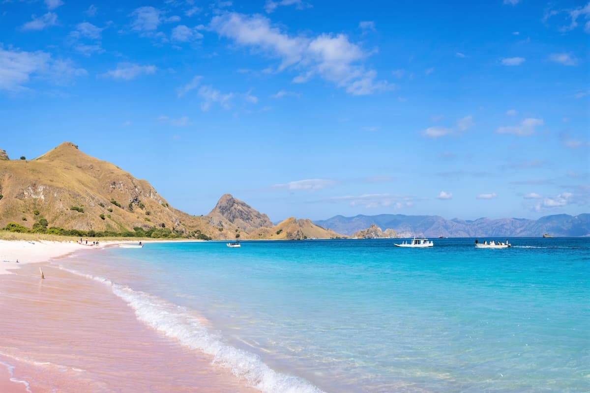 Komodo Island Day Tour