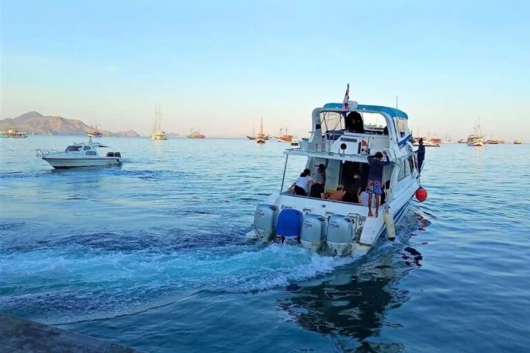 Komodo Island Day Tour