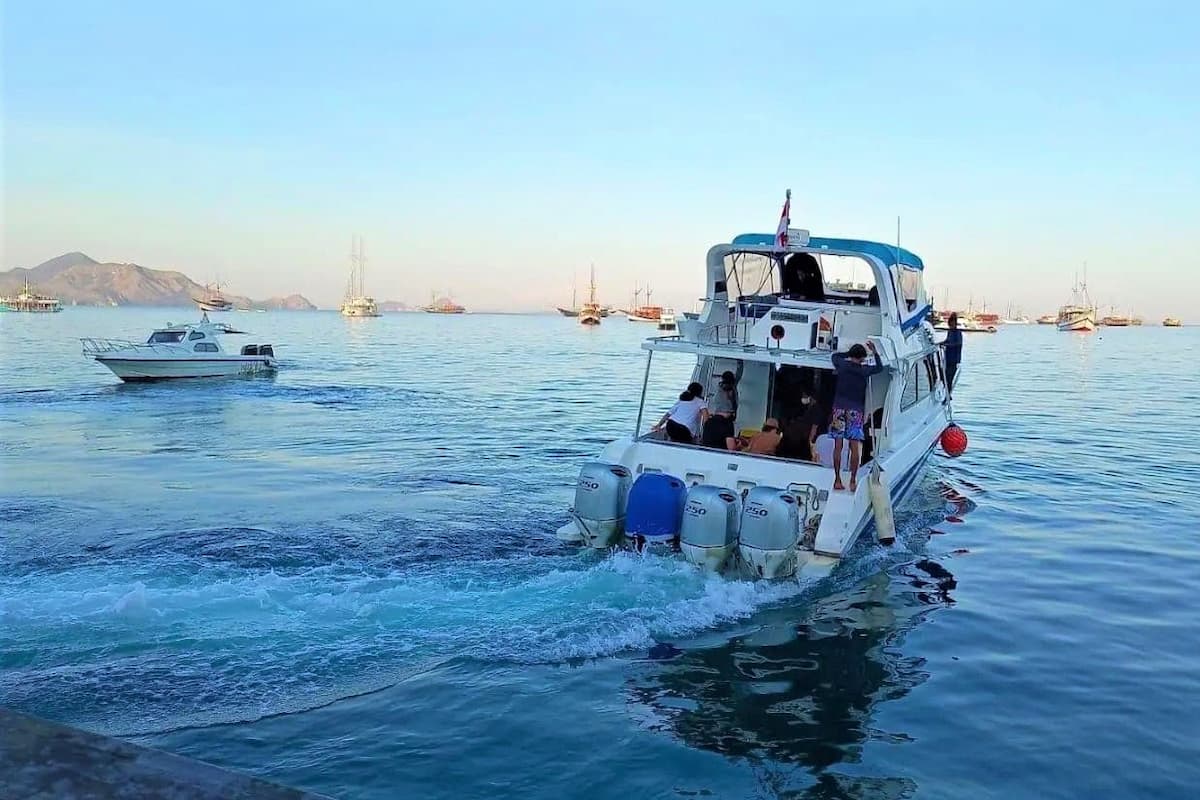 Komodo Island Day Tour