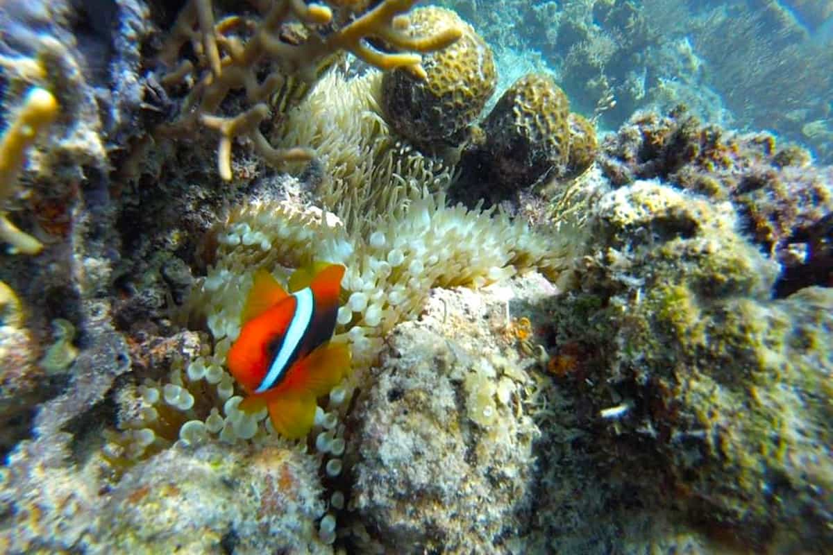 coron to el nido expedition