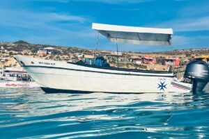 Comino Private Boat Tour