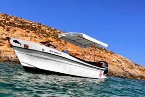 Comino Private Boat Tour