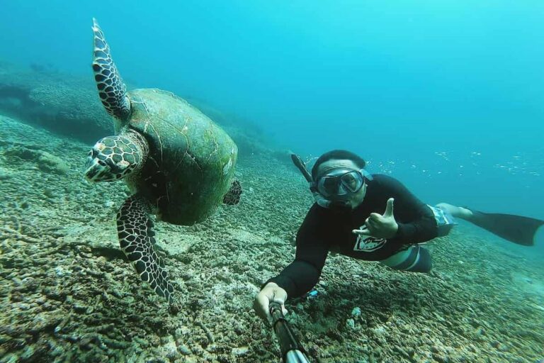 Nusa Lembongan Manta Ray Snorkeling