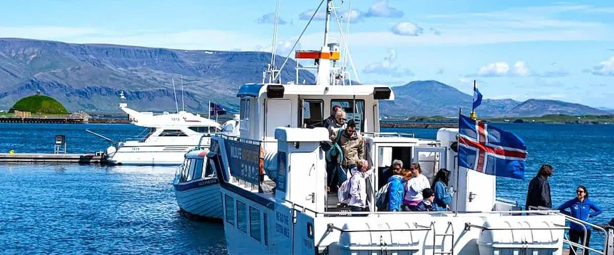 Iceland Whale Watching Tour