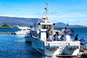 Iceland Whale Watching Tour