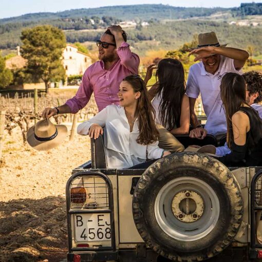 Penedes Wine Tour From Barcelona