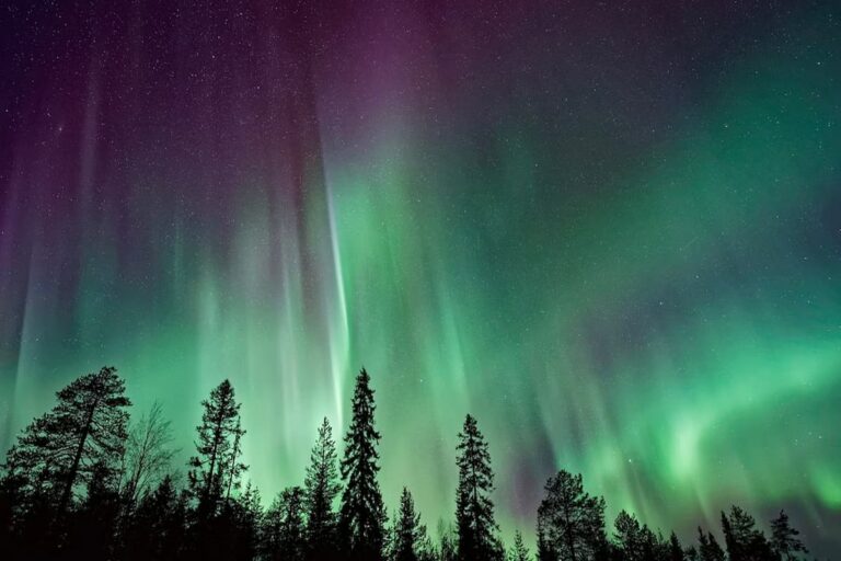 Rovaniemi Northern Lights Tour