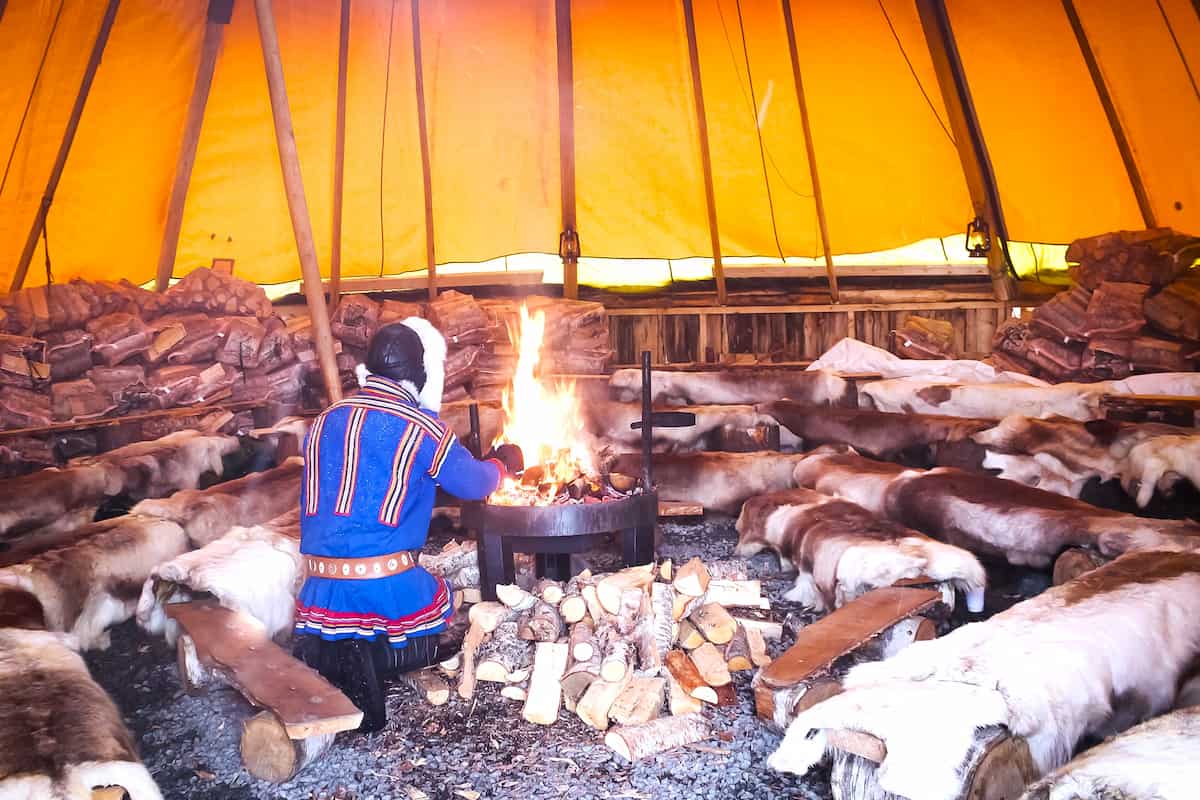 Tromsø Reindeer Feeding Tour