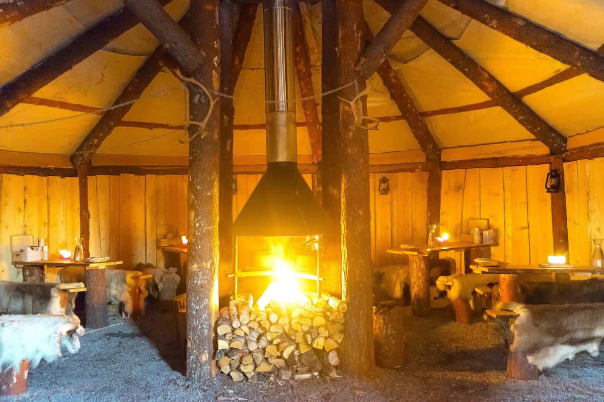 Tromsø Reindeer Feeding Tour