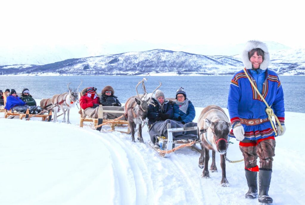 Tromso Reindeer Tour
