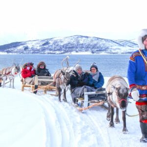 Tromso Reindeer Tour