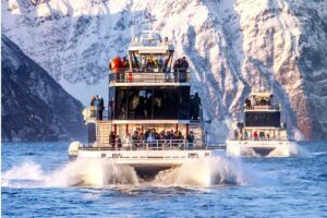 Tromsø Whale Watching Tour