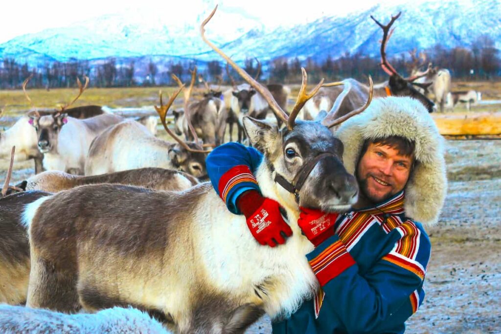 Tromsø Reindeer Tour