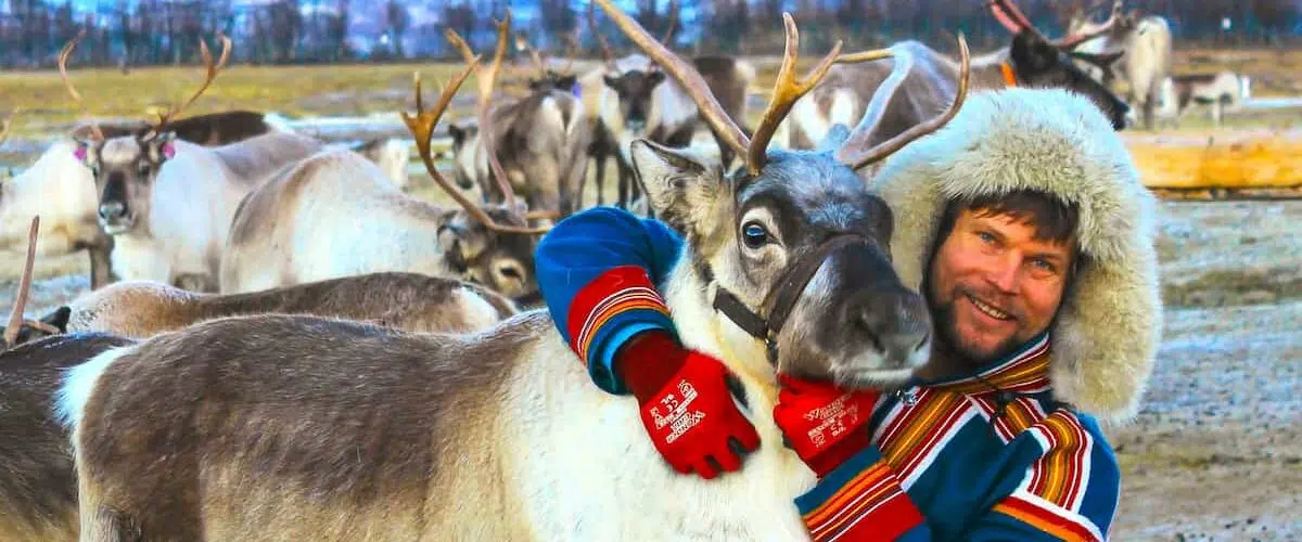 Tromsø Reindeer Tour