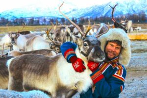 Tromsø Reindeer Tour