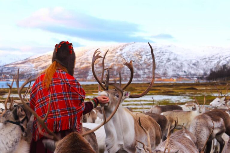 Tromsø Reindeer Tour