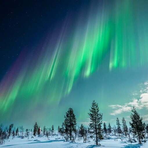 Tromsø Northern Lights Tour