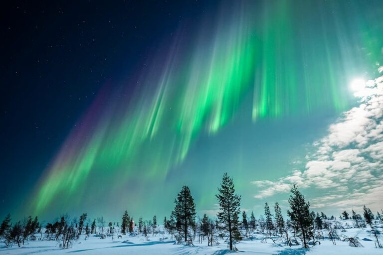 Tromsø Northern Lights Tour