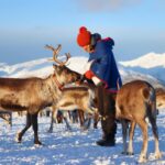 Tromso Reindeer Tour