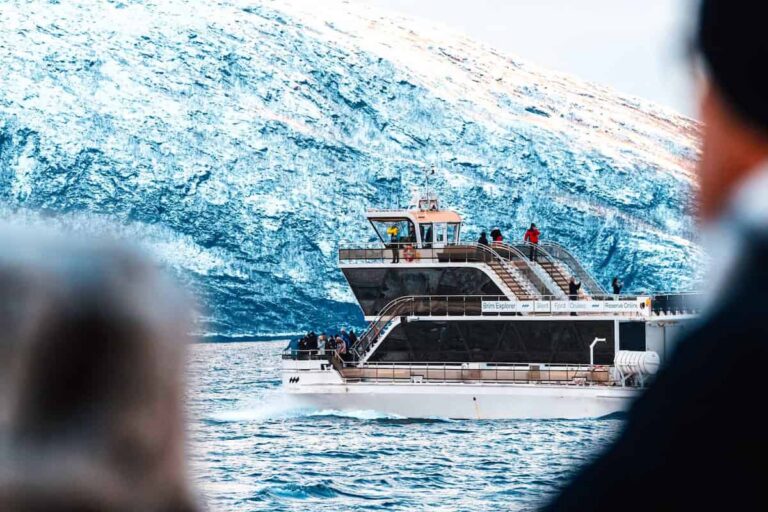 Tromsø Whale Watching Tour