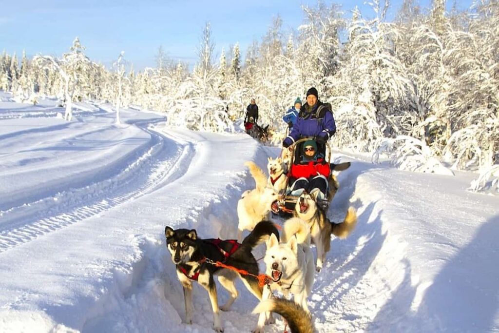 Rovaniemi Husky Safari