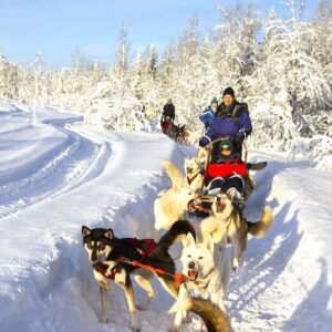Rovaniemi Husky Safari