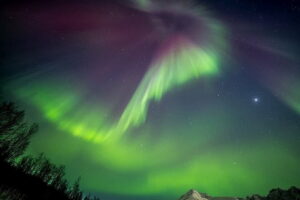 Tromsø Northern Lights