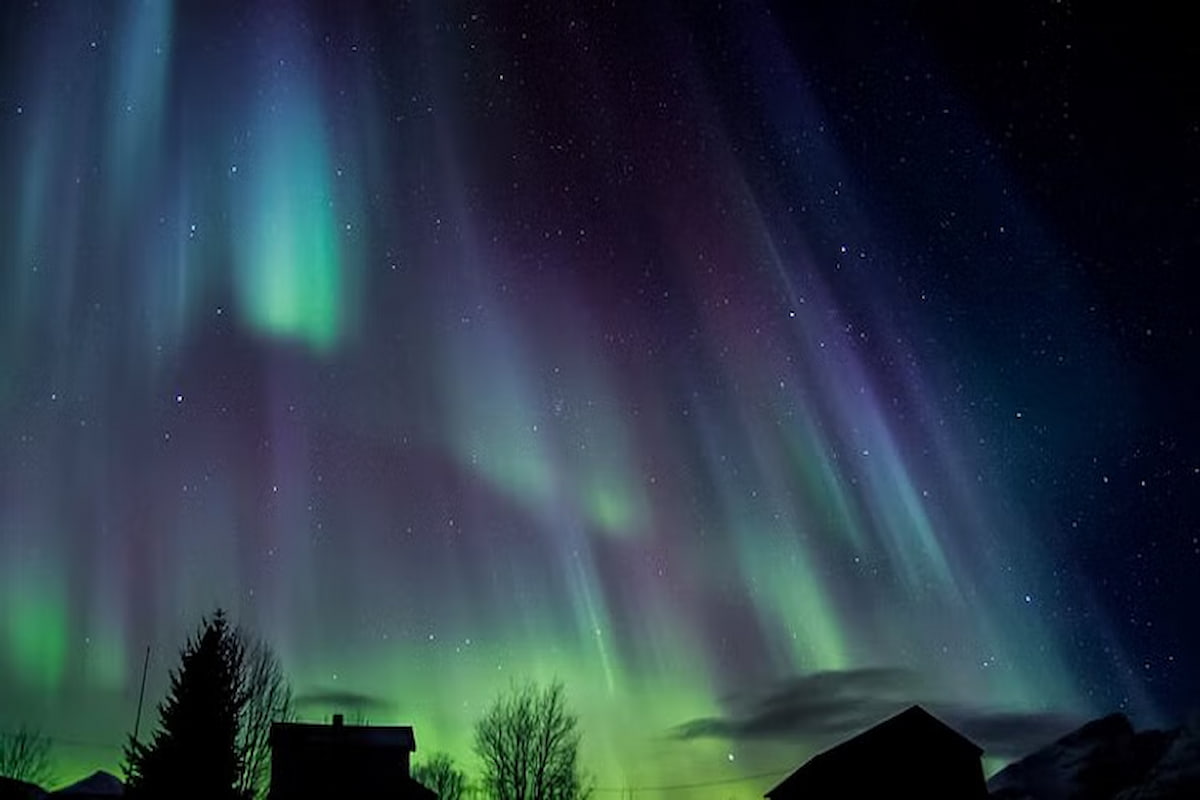 Tromsø Northern Lights