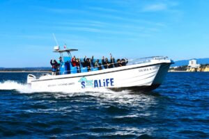 Benagil Boat Trip From Lagos