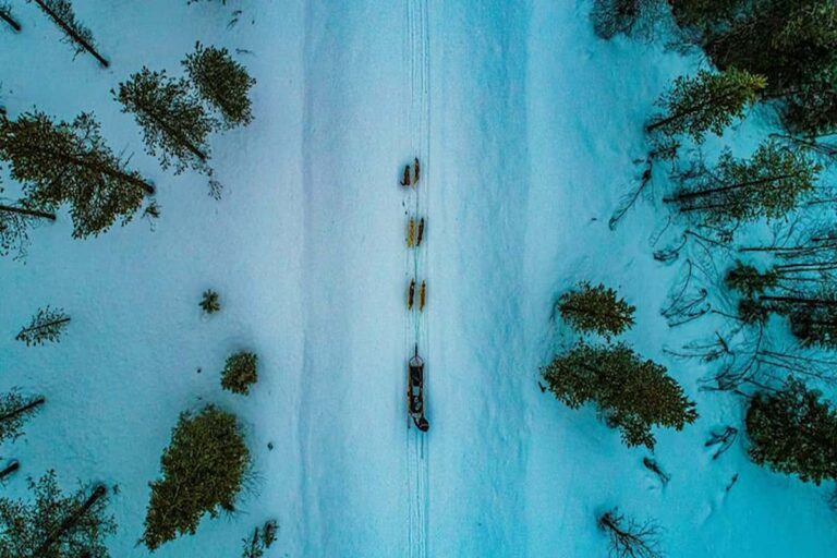 Rovaniemi Husky Safari