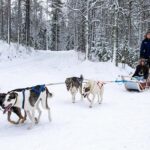Rovaniemi Husky Safari